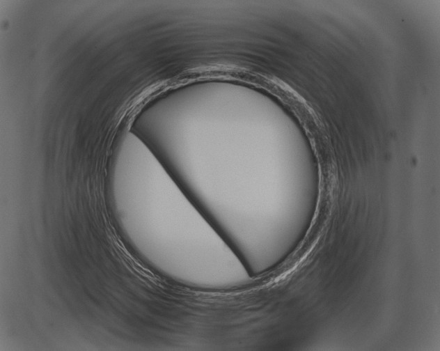 X0000087540921200704270920