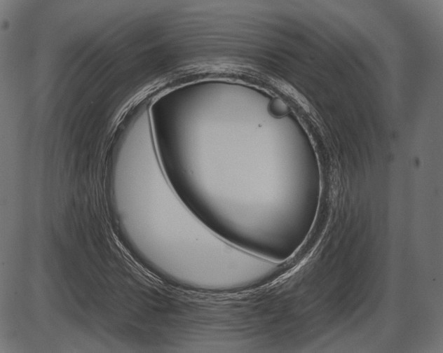 X0000087540922200704270920