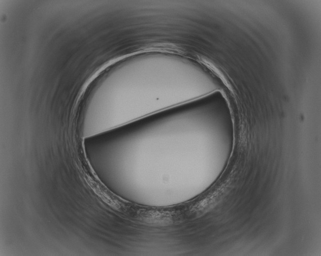X0000087540923200704270920