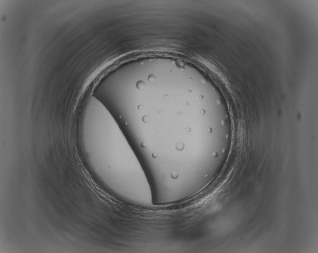 X0000087540925200704270920