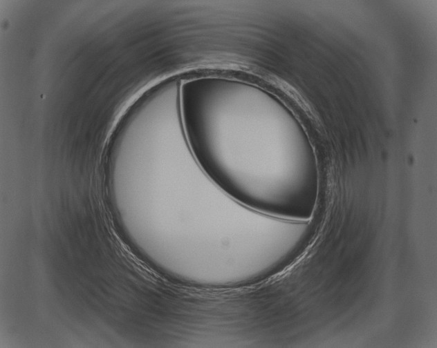 X0000087540926200704270920