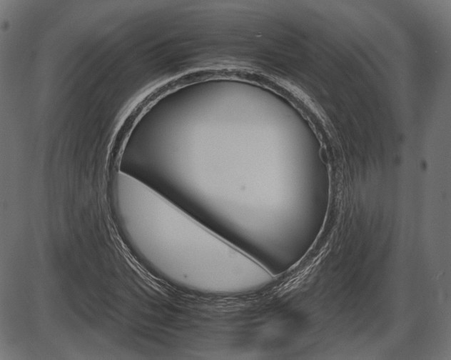 X0000087540927200704270920