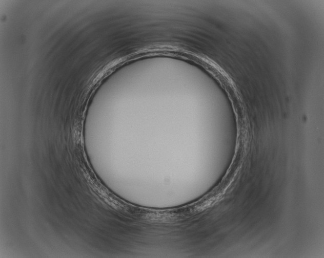 X0000087540929200704270920