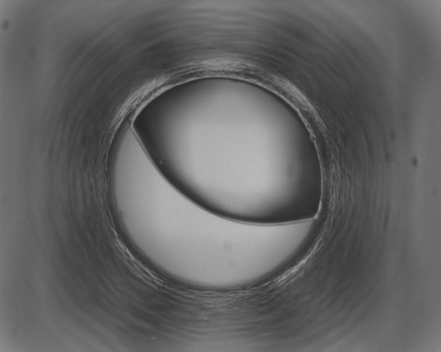 X0000087540930200704270920