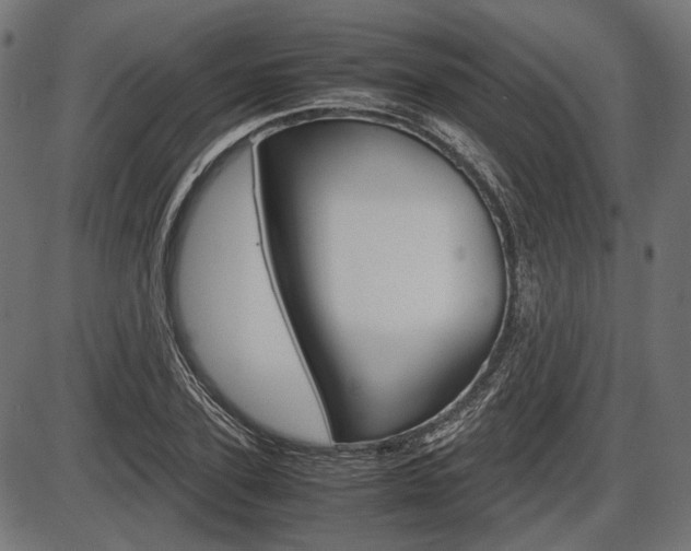 X0000087540931200704270920