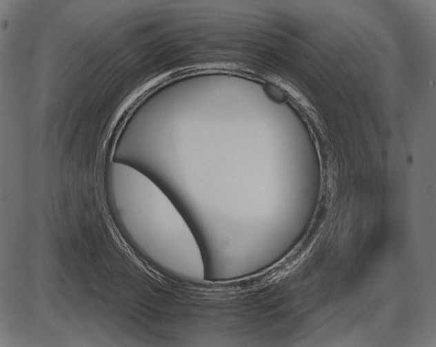 X0000087540933200704270920