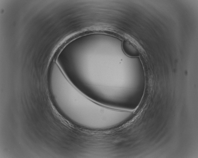 X0000087540934200704270920