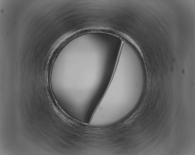 X0000087540935200704270920