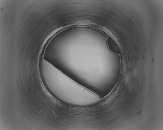 X0000087540939200704270920