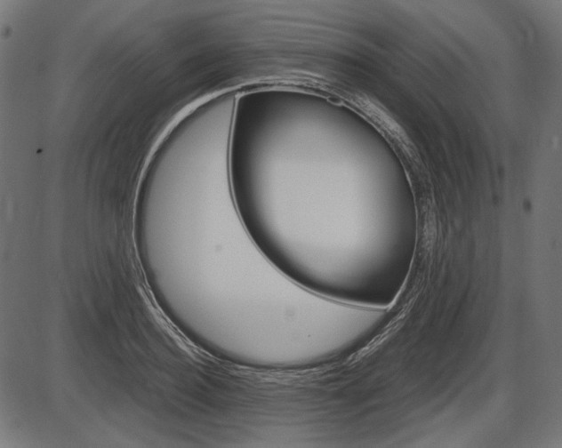 X0000087540940200704270920