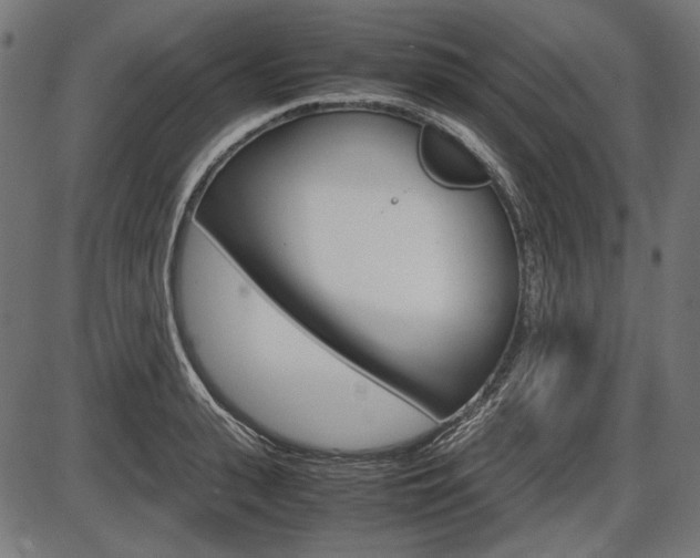 X0000087540943200704270920