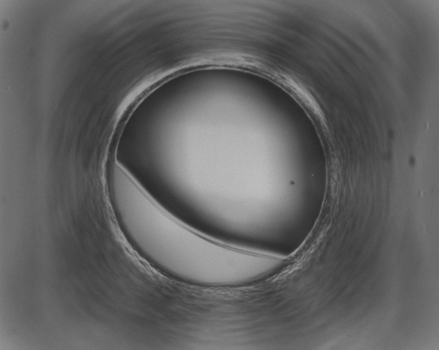 X0000087540944200704270920