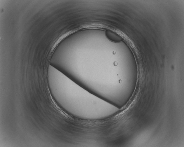 X0000087540945200704270920