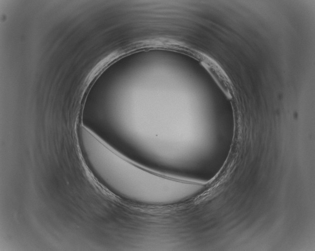 X0000087540946200704270920