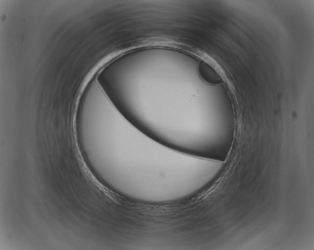 X0000087540947200704270920