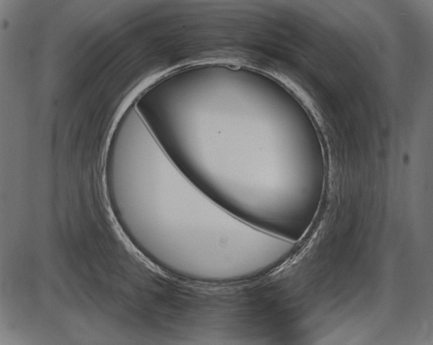 X0000087540949200704270920