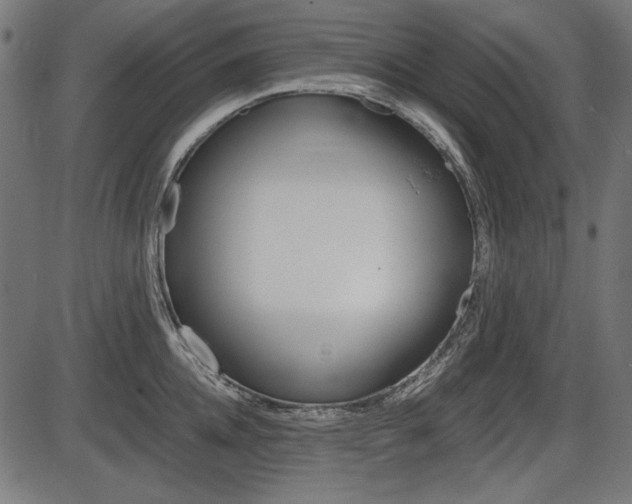X0000087540952200704270920