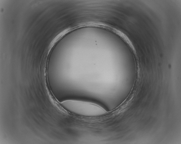 X0000087540954200704270920