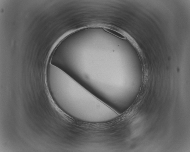 X0000087540955200704270920