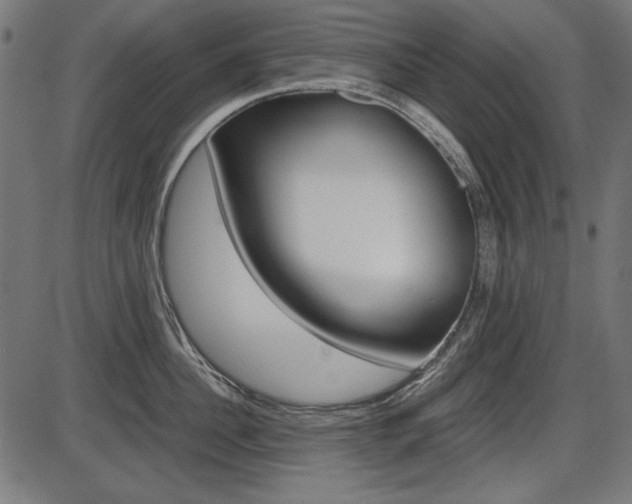 X0000087540956200704270920