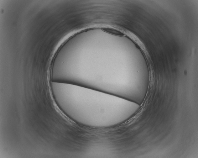 X0000087540958200704270920