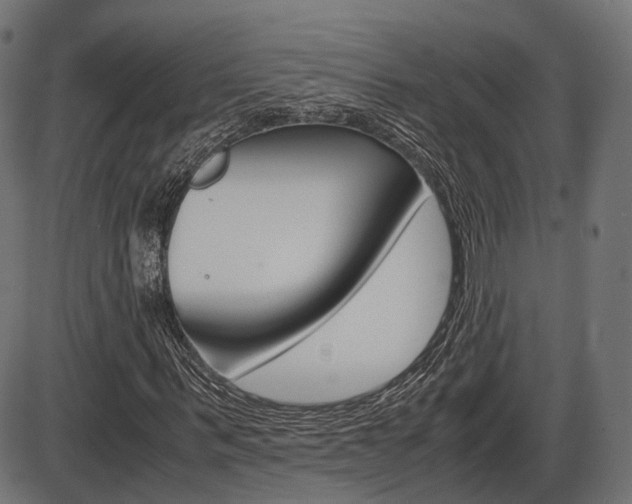 X0000087540963200704270920