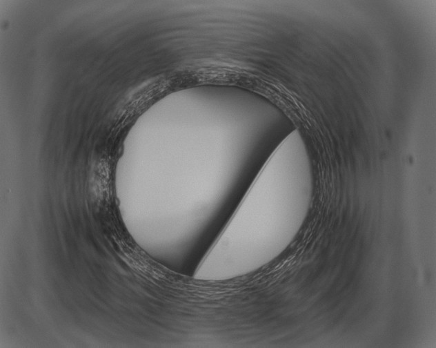 X0000087540964200704270920