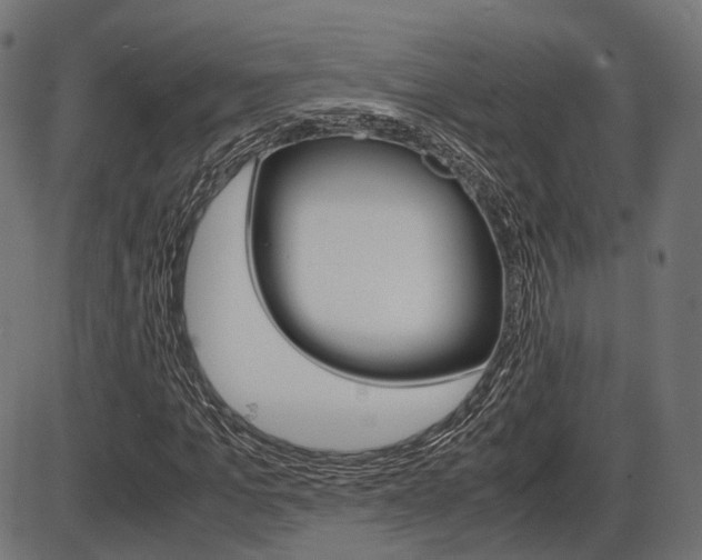 X0000087540965200704270920