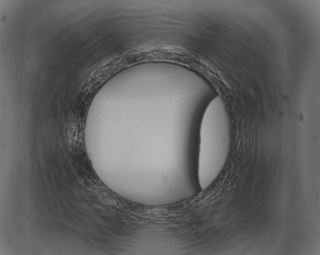 X0000087540966200704270920