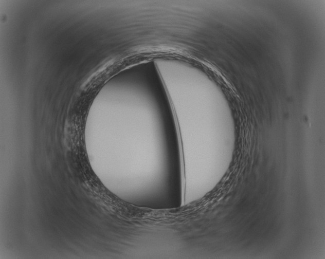 X0000087540967200704270920
