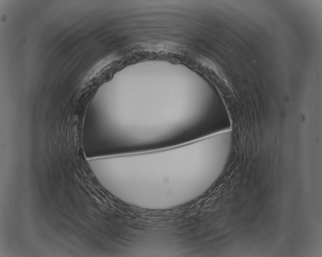 X0000087540968200704270920