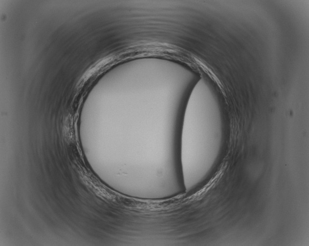 X0000087540970200704270919
