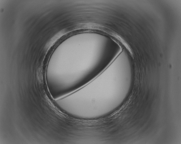 X0000087540972200704270919