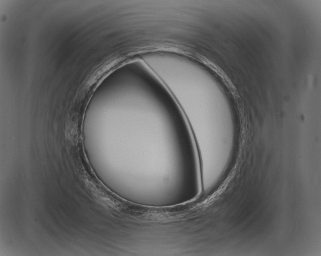 X0000087540977200704270919