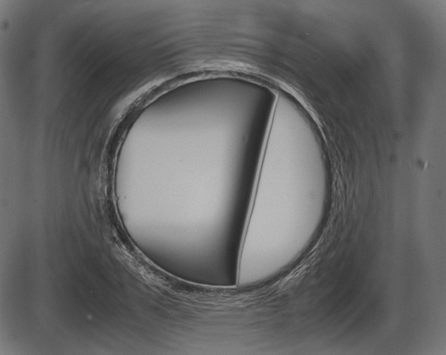X0000087540979200704270919