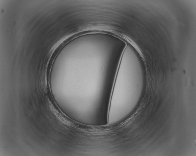 X0000087540980200704270919