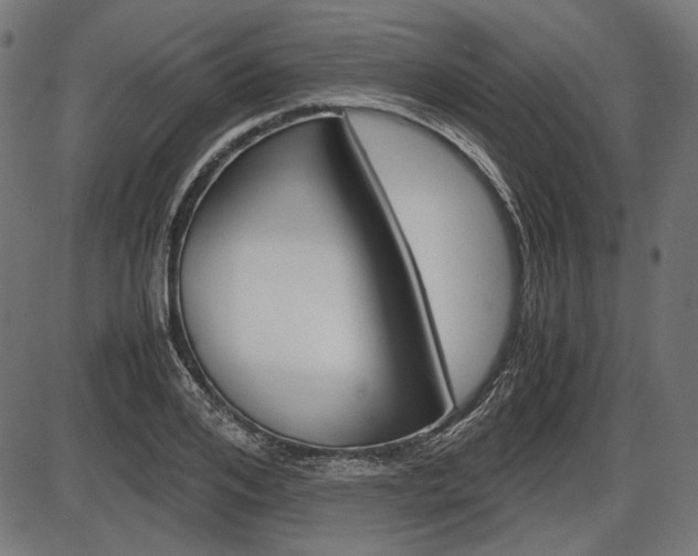 X0000087540984200704270919