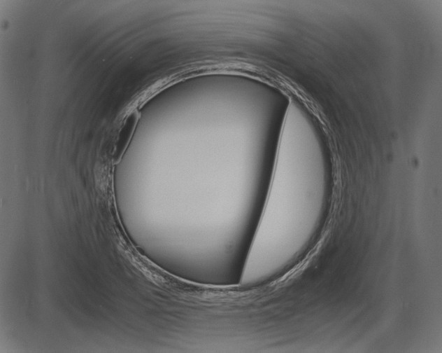 X0000087540985200704270919