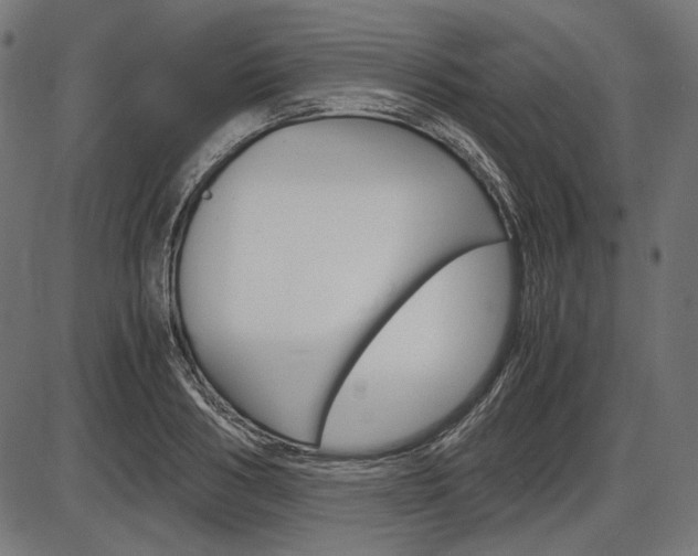 X0000087540986200704270919