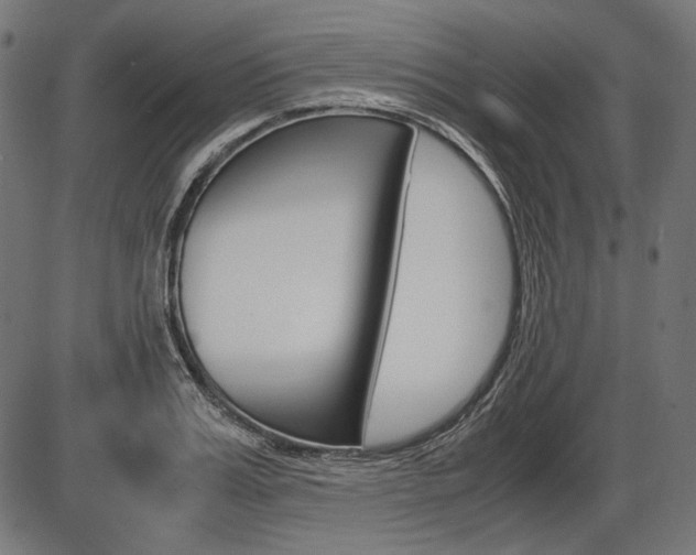 X0000087540987200704270919