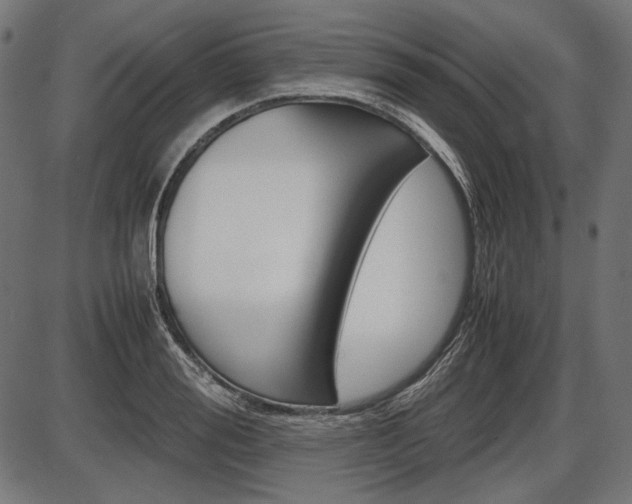 X0000087540988200704270919