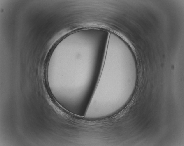 X0000087540991200704270919