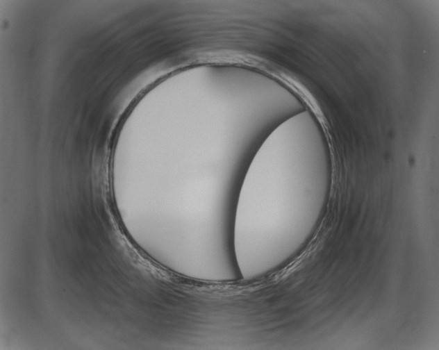 X0000087541000200704270919