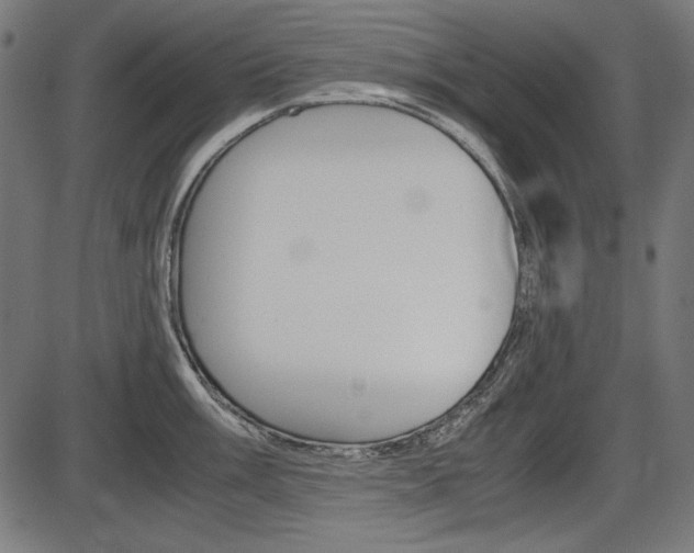 X0000087541003200704270919