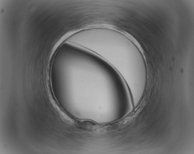 X0000087541005200704270919
