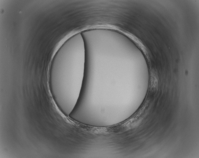 X0000087541006200704270919