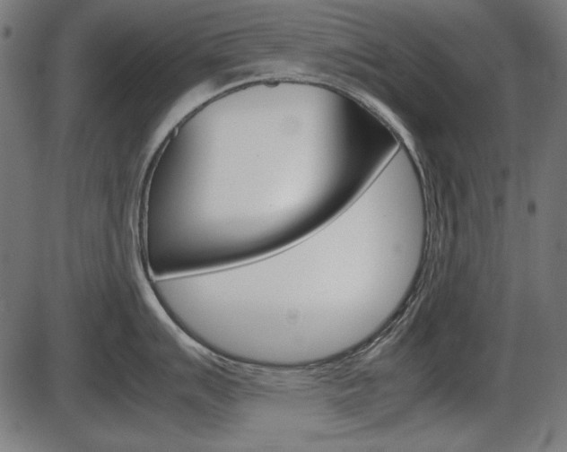 X0000087541007200704270919