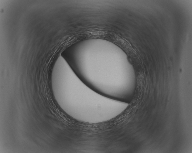 X0000087541009200704270918
