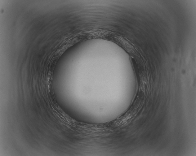X0000087541010200704270918