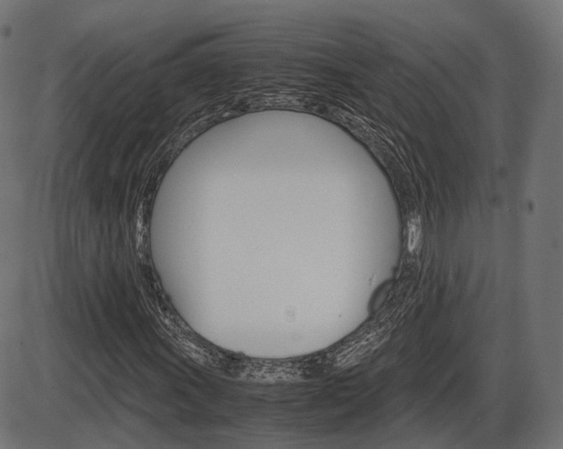 X0000087541011200704270918
